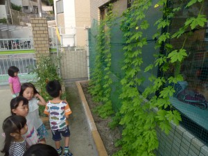 177