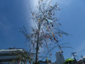 P1110380