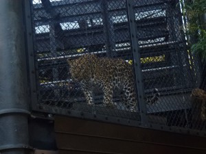 P1120410