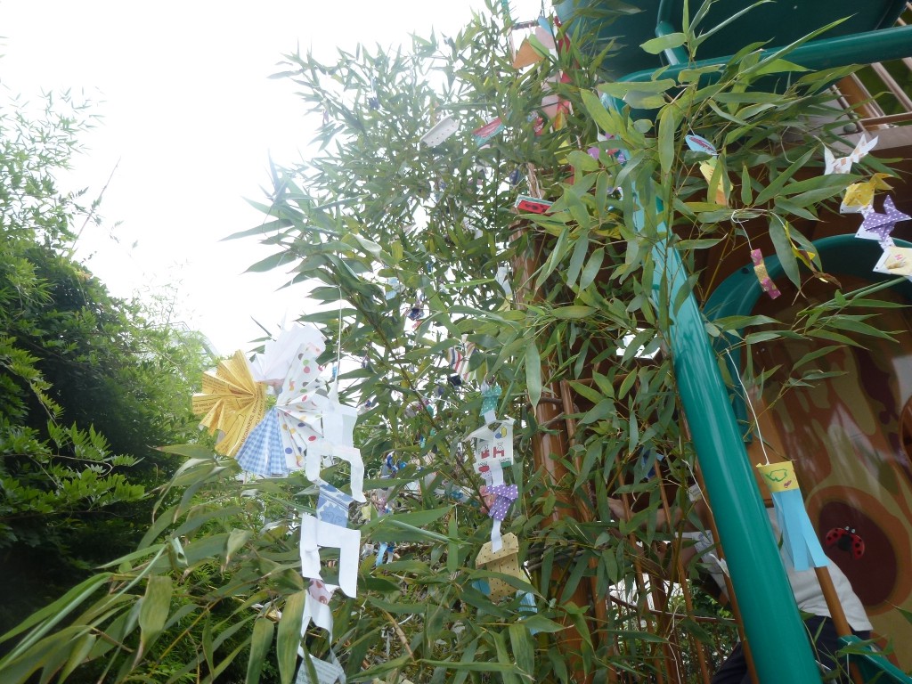 P1130567